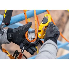 Petzl